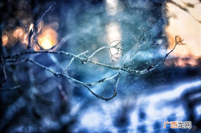 最全下雪天心情说说 下雪了的说说