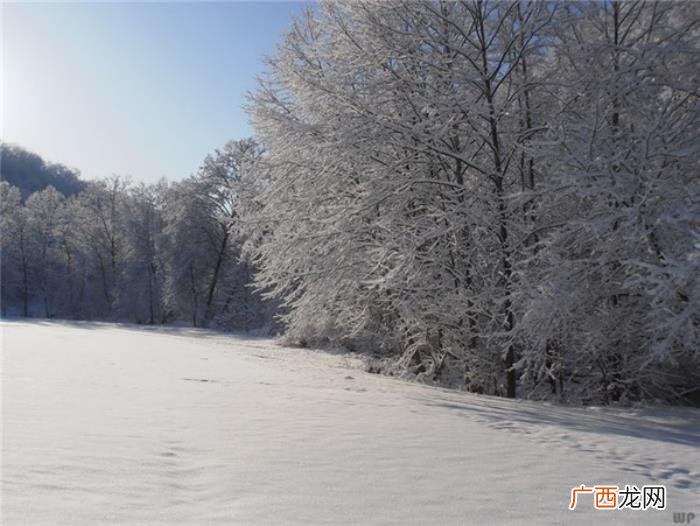 最全下雪天心情说说 下雪了的说说