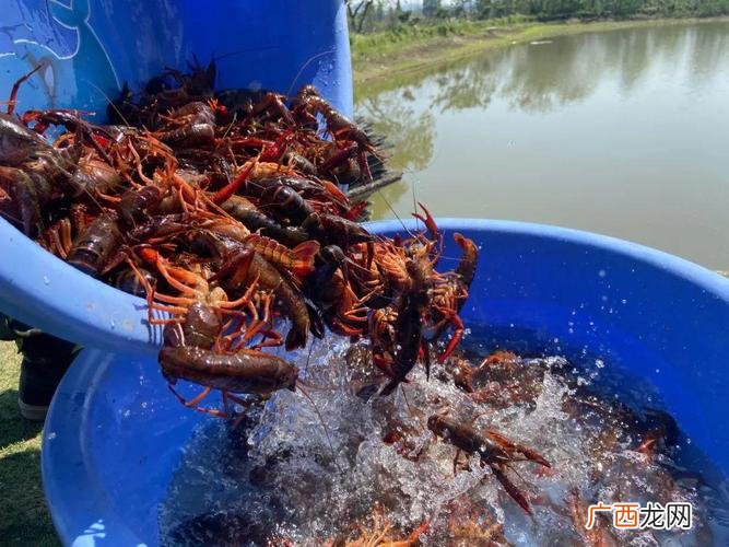 海鲜批发市场进货价格 云南水产批发价格行情