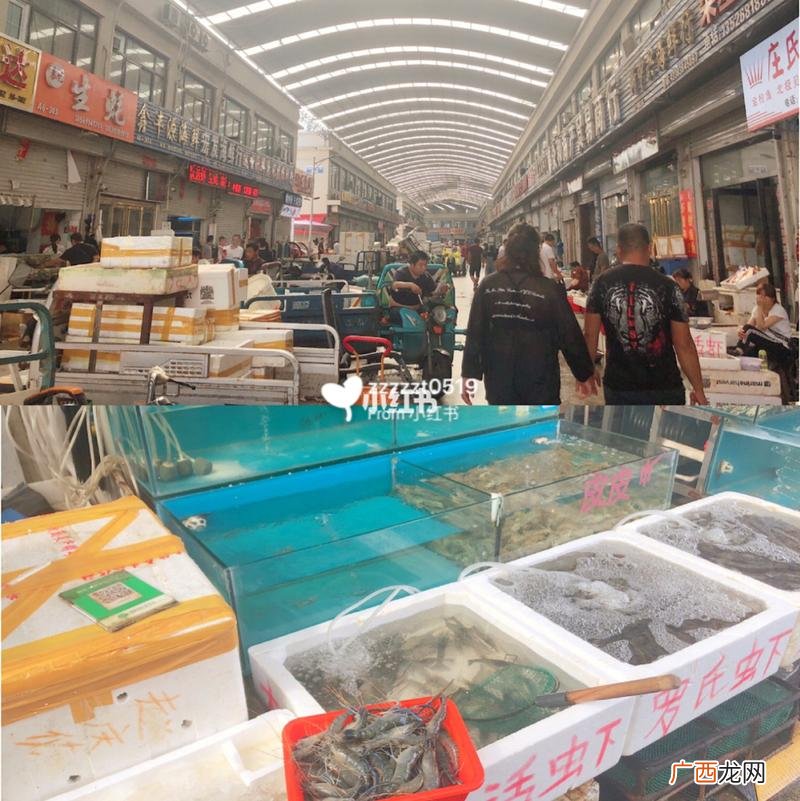 河南最大的水产批发市场 郑州最大水产市场价格