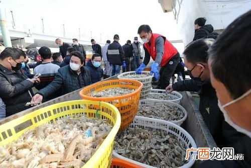 舟山国际水产城几点开始 舟山国际水产城 总经理