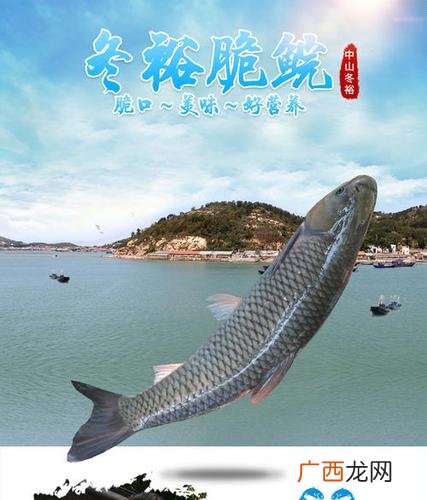 董惠清 珠江水产研究所 珠江水产研究所谢骏
