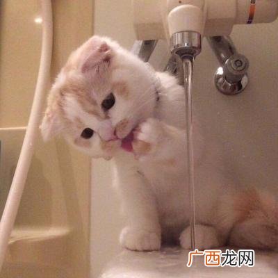 qq昵称女生小清新简短 有创意的网名小清新