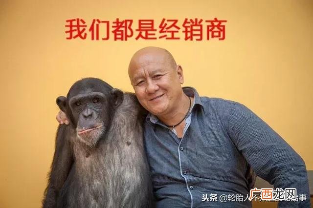 辽宁轮胎几个品牌,沈阳轮胎批发市场