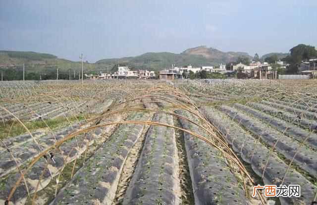 一亩换算成平方米怎么算 一亩地多少平方米