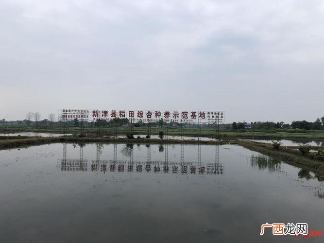 水产养殖场地出租 成都水产养殖企业