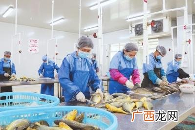 广东水库出租转让 大连水产工厂出租出售