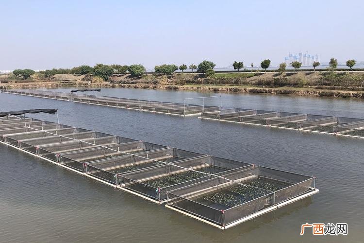 水产养殖场招聘信息最新招聘 大连水产养殖场招工
