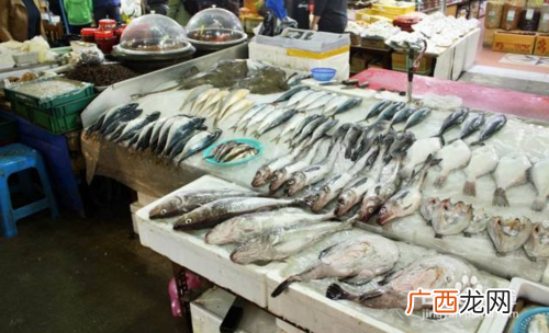 海南海壹水产种苗有限公司地址 海南晨海水产电话