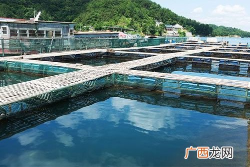 海南的水产品有哪些 海南水产品有限公司