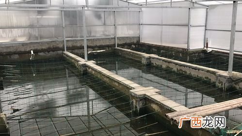 杭州水务集团有限公司招聘 杭州的水产公司招聘信息网