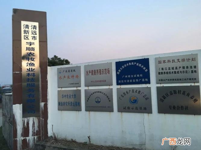 广州泓伟水产贸易有限公司 泓 水产