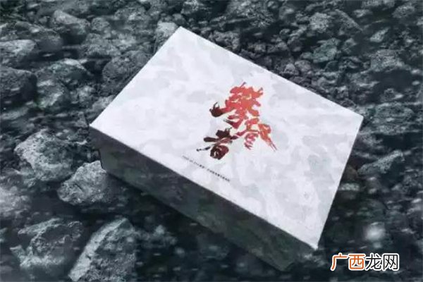 匹克态极“探索者”x《攀登者》10月20日预售