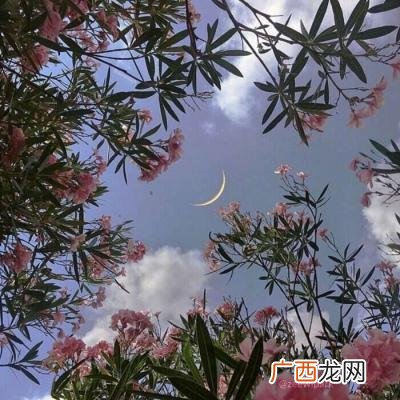 男生二字干净网名,个性网名男