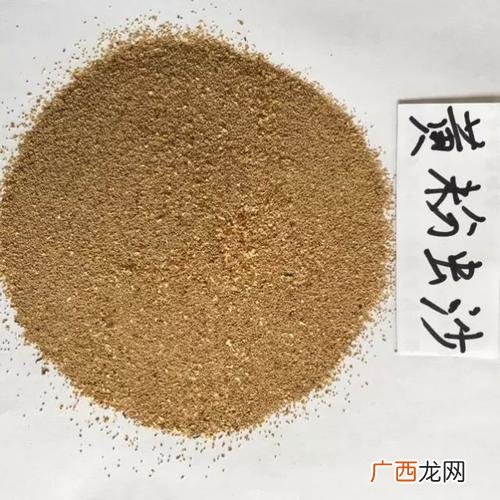 怎样喂养黄粉虫 黄粉虫饲养生猪的技术