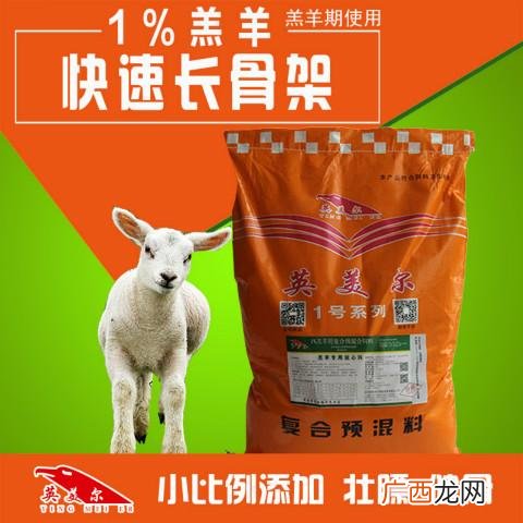 农村圈养羊饲料配方 盐化饲料养羊技术