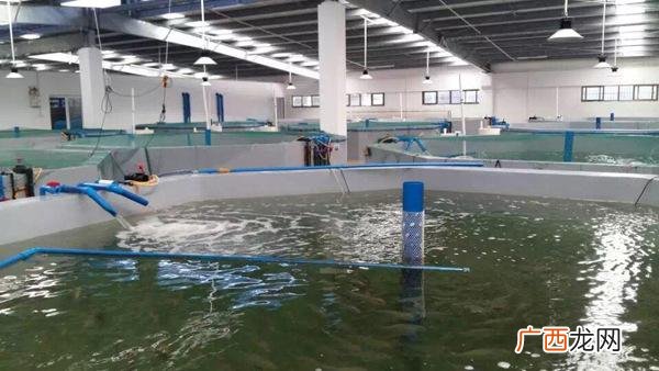 海南水产养殖基地招工 水产养殖招聘信息