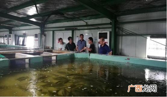 水产招聘信息 苏州水产有限公司招聘信息网