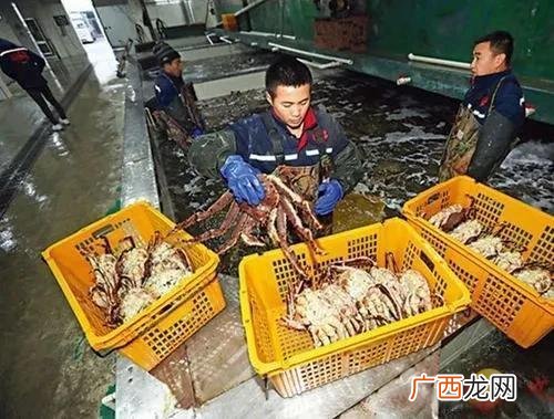 在宿州做什么生意好 宿迁水产品生意好做吗