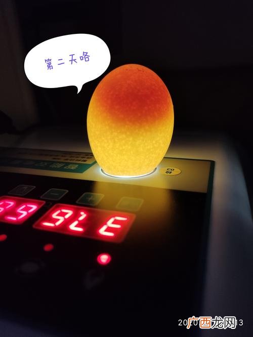 种蛋价格 种蛋保存新技术
