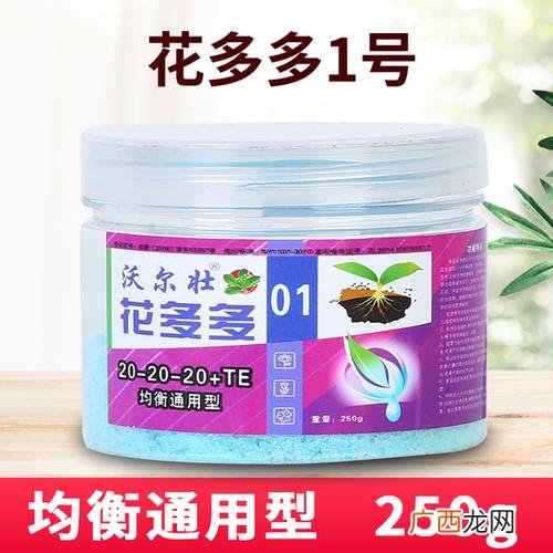 有关花卉的公众号 花卉1号花卉2号
