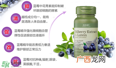 GNC健安喜叶黄素怎么样_怎么吃_说明书