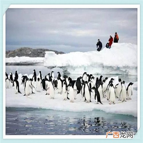 威固隔热膜价格表 威固膜