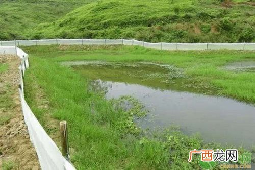 2019年重庆展会安排表 2019湛江水产龙虾展览会