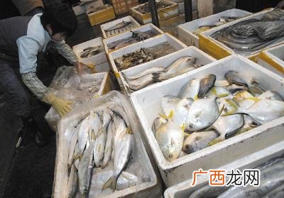 办水产证需要哪些手续 卖鱼去那办水产证的
