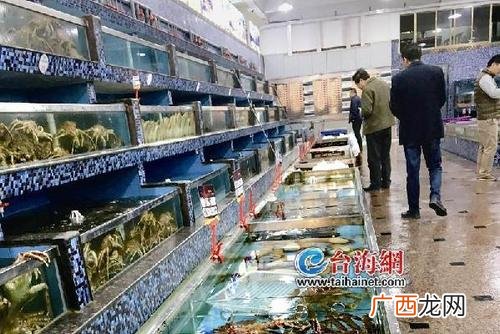 南宁最大的水产批发市场 南宁水产价格多少