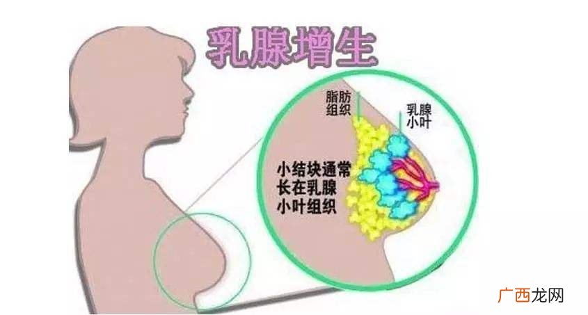 微生物在水产养殖的应用 甲基睾丸 水产应用
