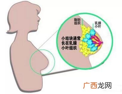 微生物在水产养殖的应用 甲基睾丸 水产应用