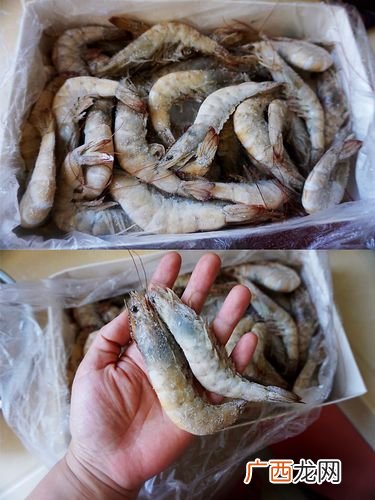 冷冻水产品批发市场 进口冰冻水产品贸易商