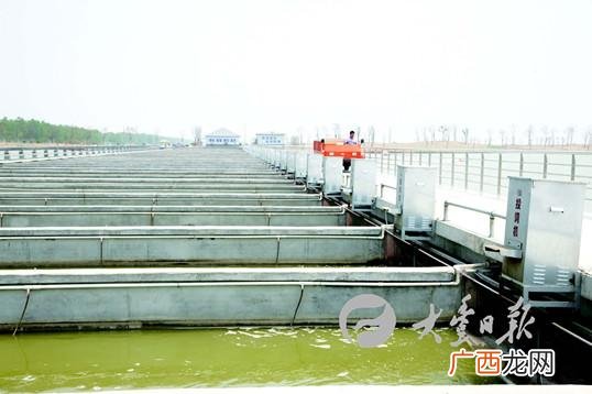 水产市场年前几号停业 九号水产