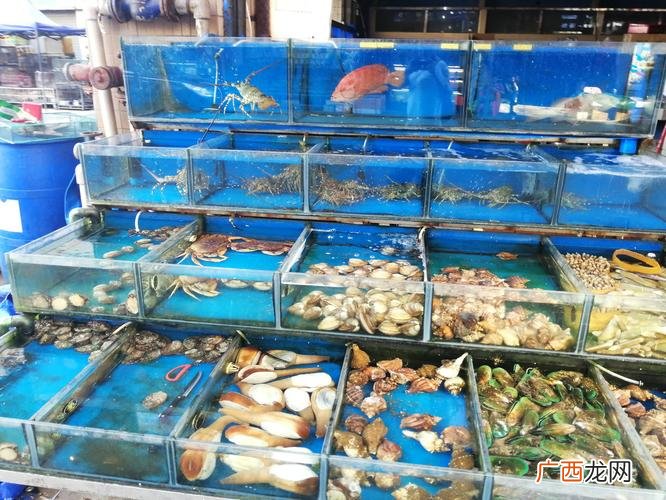 昆山珠江新村 昆山珠江路浙江水产