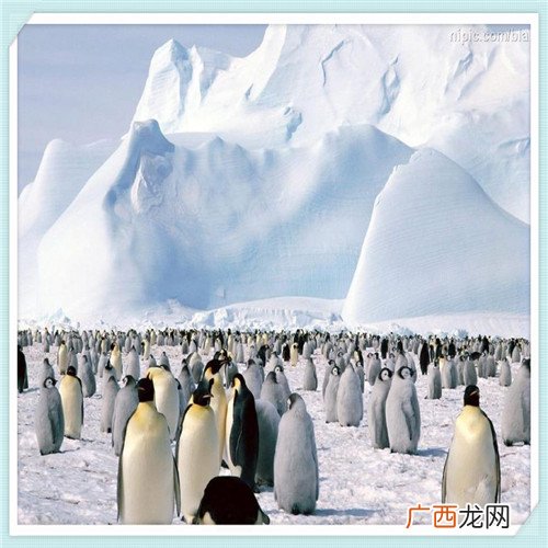 在正大集团上班感觉怎么样 正大集团值得去么