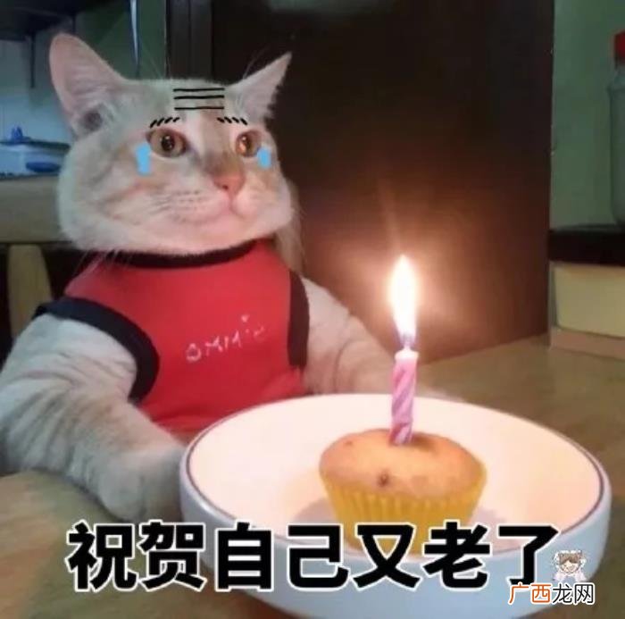 适合自己过生日的文案【生日】 自己生日