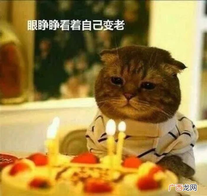 适合自己过生日的文案【生日】 自己生日