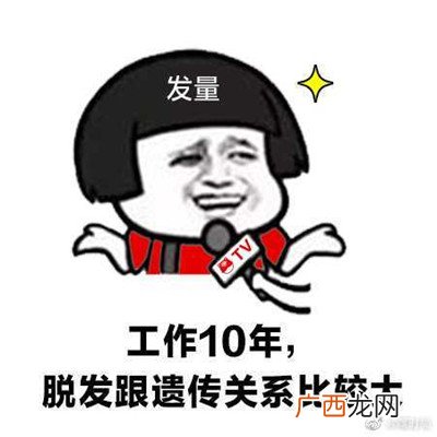 JAVA程序员自用表情包 程序员专属的可爱搞笑表情包