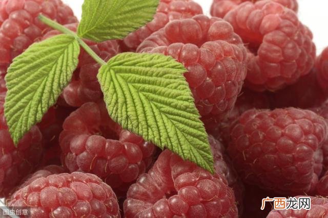 投资5万的小型加工厂 开饮料厂投资多少钱