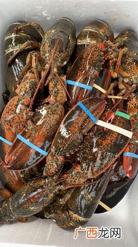 湖北小龙虾批发 武汉水产市场龙虾价格