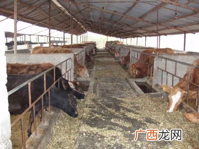 中国水产养殖总量名列世界第几 水产总产量2018