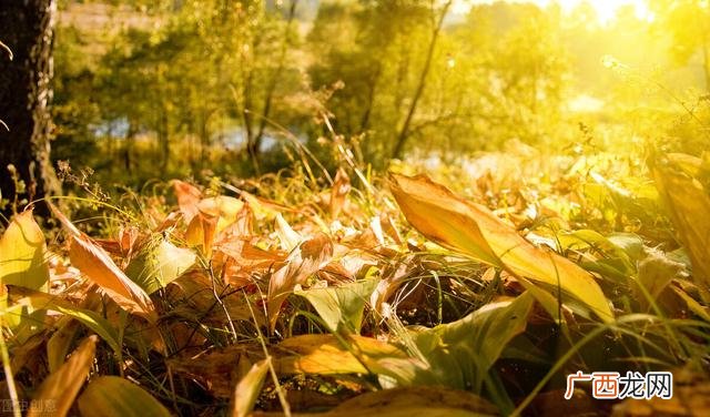 淘宝网店卖什么利润大,开什么淘宝店利润最高