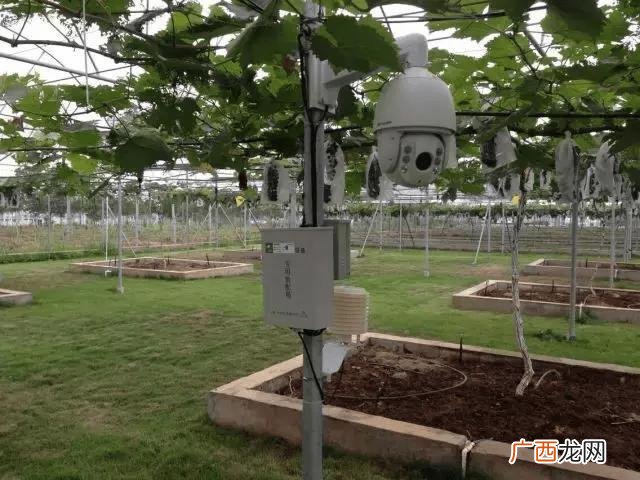 南美白对虾养殖技术 水产养殖摄像头