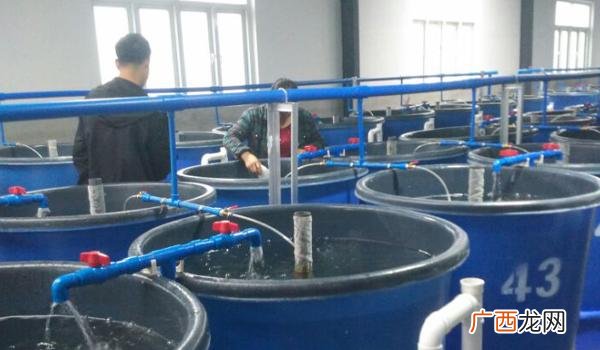 工厂化循环水养殖品种 水产养殖循环水ipa