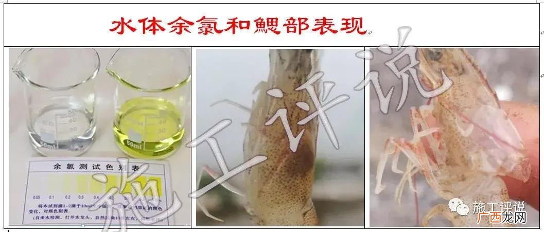 鱼塘ph值高了怎么办 水产养殖余氯高