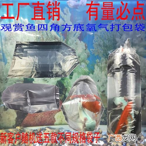 给鱼打包的是哪种氧气 水产氧气打包视频