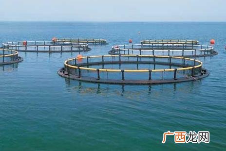 水产养殖学就业薪酬和待遇 水产专业好吗