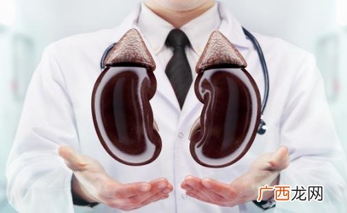 盘点肾虚补肾七大误区 几个方法护好肾