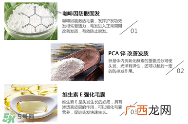 Alpecin咖啡因洗发水效果如何？Alpecin咖啡因洗发水防脱吗？
